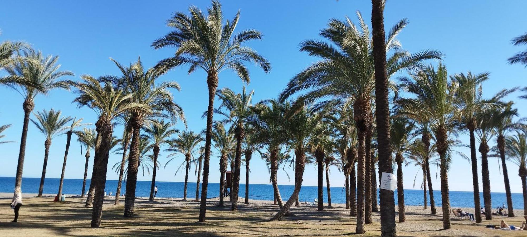 Ferienwohnung San Antonio - Beach, Pool And Terrace Torremolinos Exterior foto